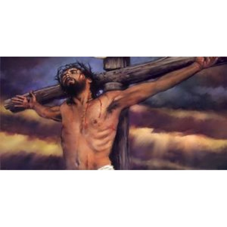 LPO452 Jesus on the Cross License Plate