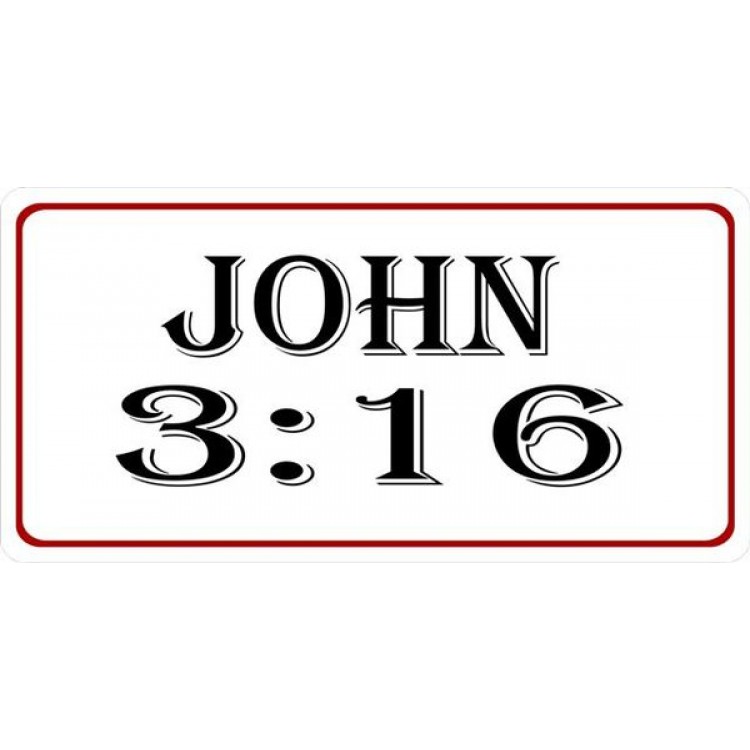 LPO1306 John 3-16 Photo License Plate