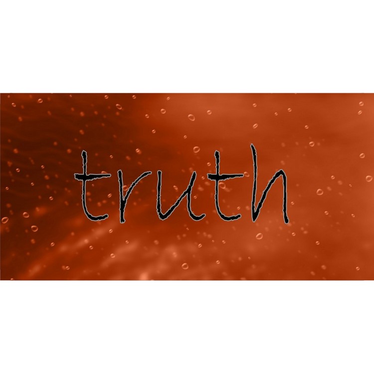 LPO3430 6 x 12 in. Truth Photo License Plate