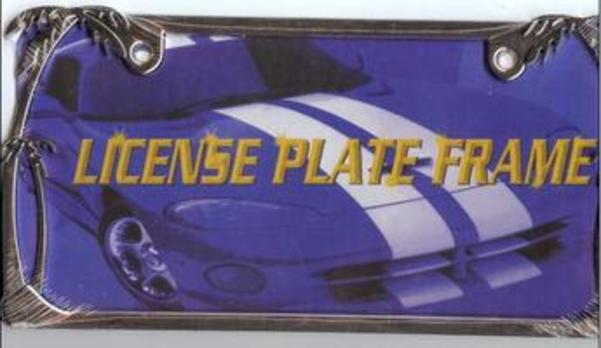 DF146C 6 x 12 in. Palm Trees Chrome License Plate Frame, Free Screw Caps