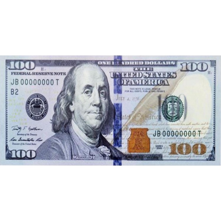 6 x 12 in. One Hundred Dollar Bill Photo License Plate