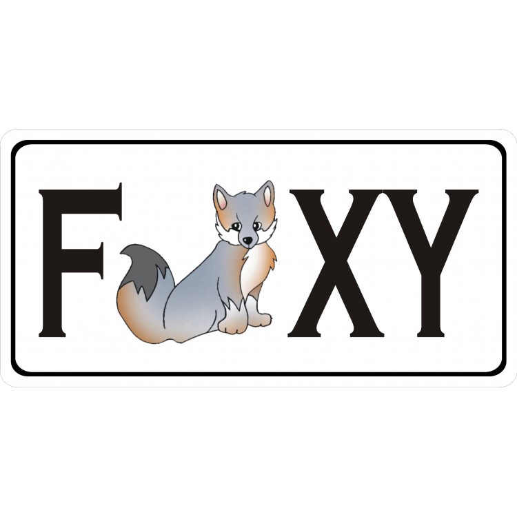 LPO4286 6 x 12 in. Foxy Photo License Plate