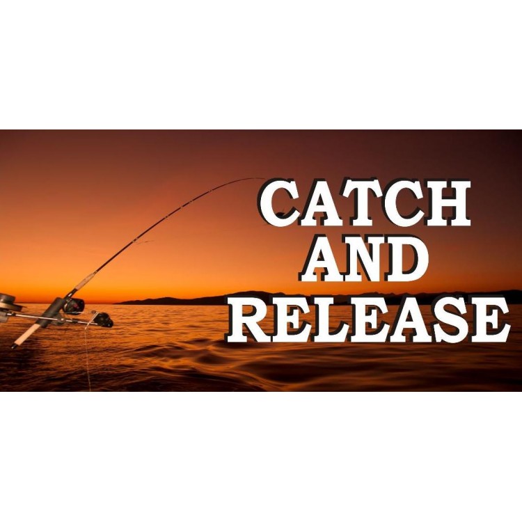 LPO4309 6 x 12 in. Catch & Release No.2 Photo License Plate