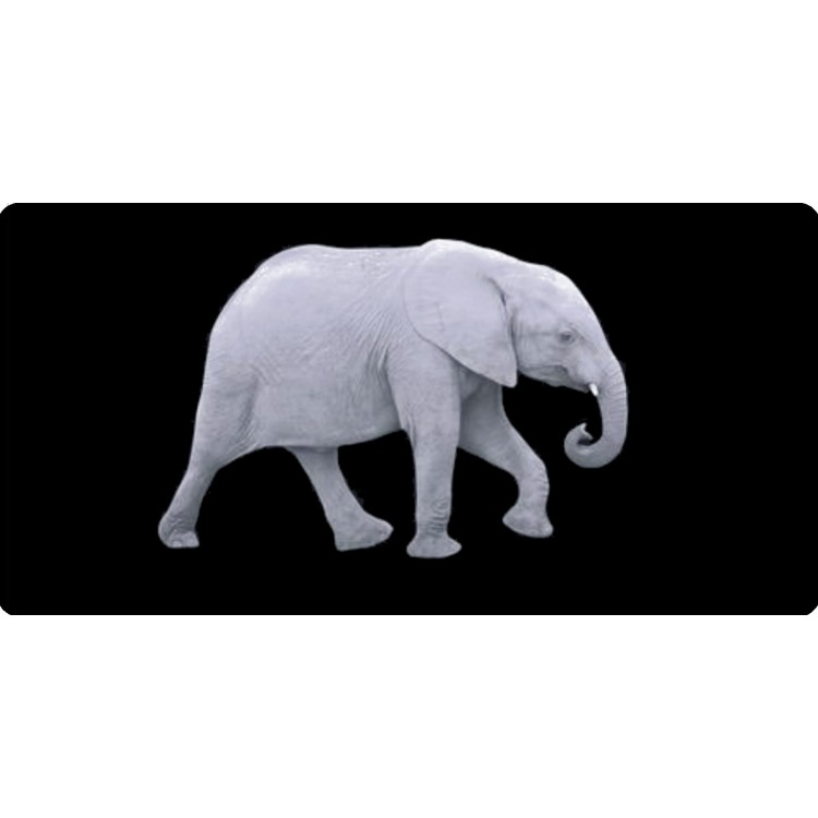LPO4313 6 x 12 in. White Elephant Centered Photo License Plate