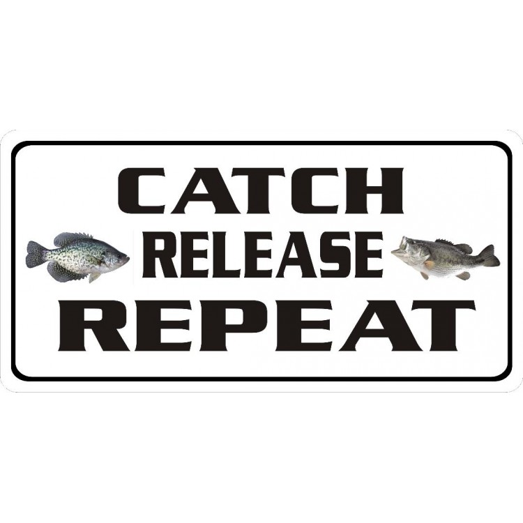LPO4322 6 x 12 in. Catch Release Repeat Photo License Plate