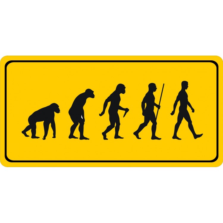 LPO4393 6 x 12 in. Evolution Photo License Plate