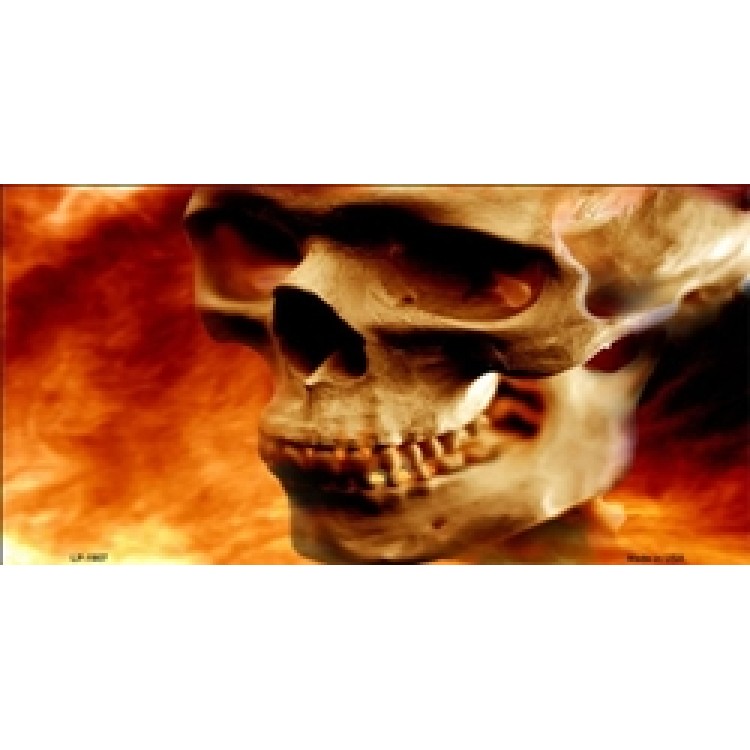LP-1907 6 x 12 in. Realistic Skull on Flames License Plate