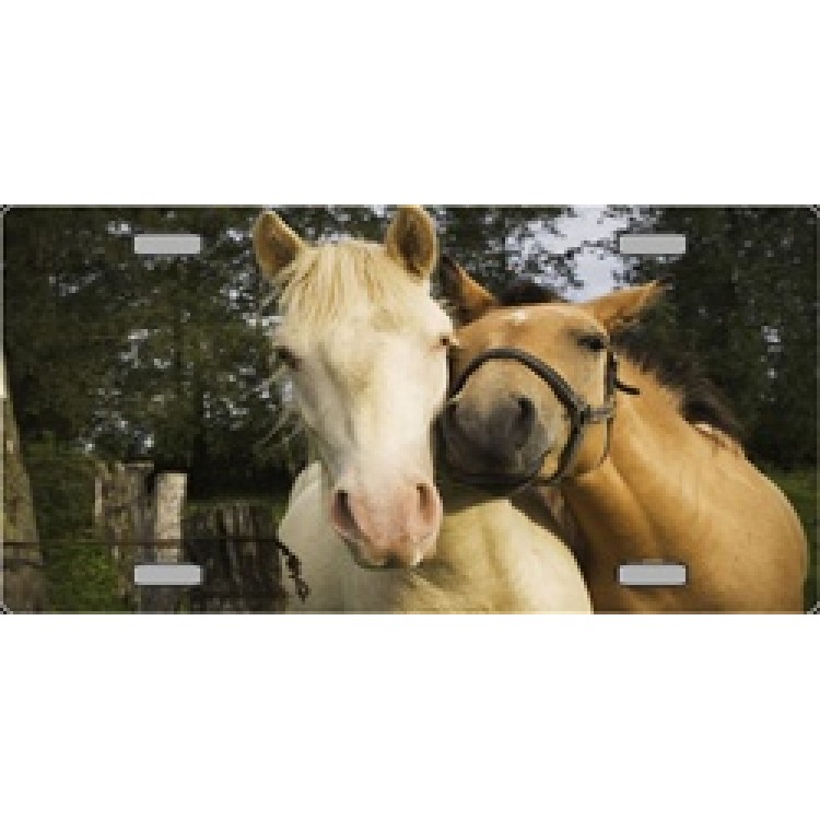 6 x 12 in. Horses Nuzzling in Corral License Plate