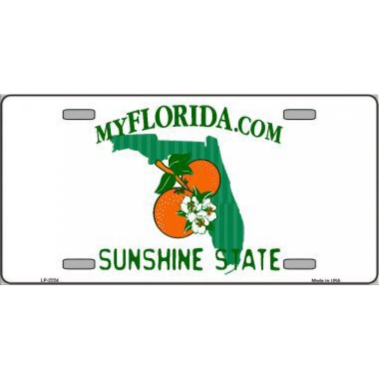 LP-2224 6 x 12 in. MyFlorida.com Sunshine State License Plate