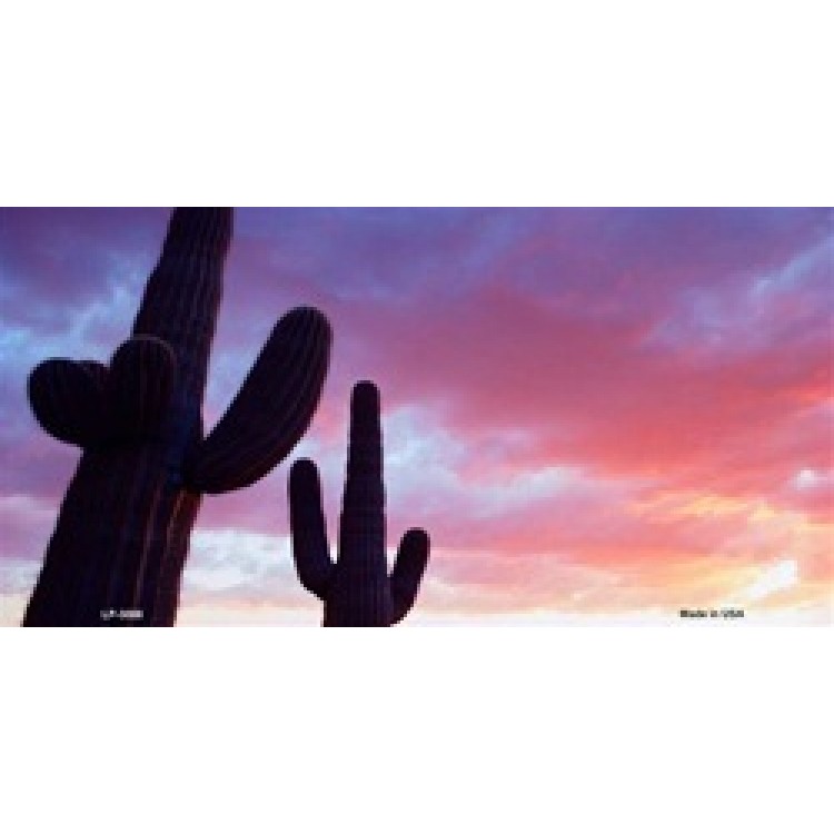 LP-3088 6 x 12 in. Sunset Saguaro Cactus License Plate