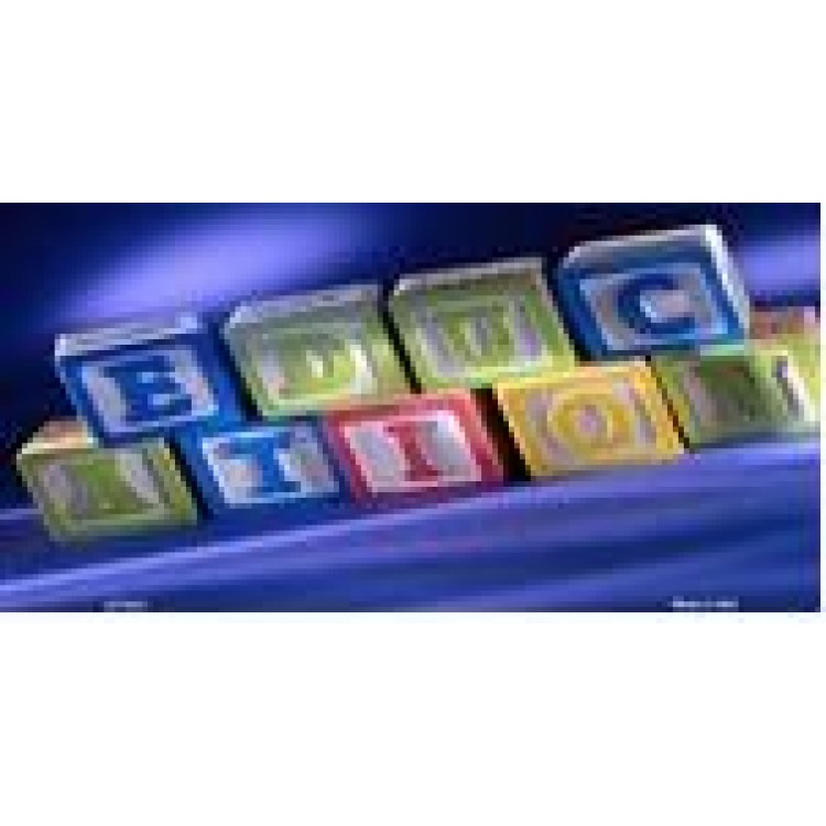 LP-3375 6 x 12 in. Education Blocks License Plate