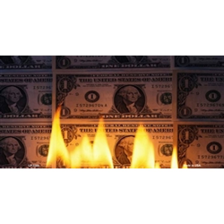 LP-3384 6 x 12 in. Money on Fire License Plate