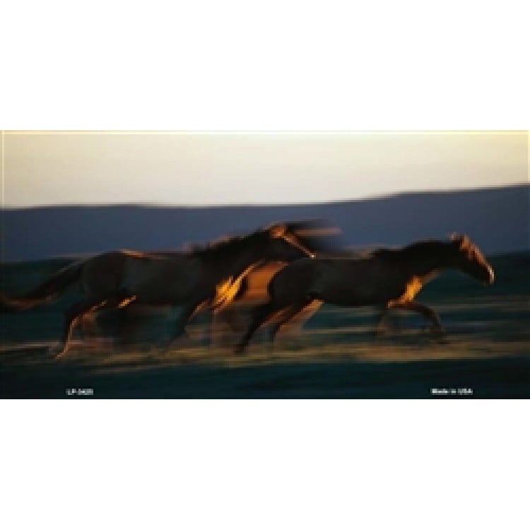 LP-3425 6 x 12 in. Horses Running at Dawn License Plate -  212 Main