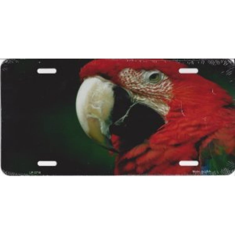 LP-3716 6 x 12 in. Red Macaw Metal License Plate