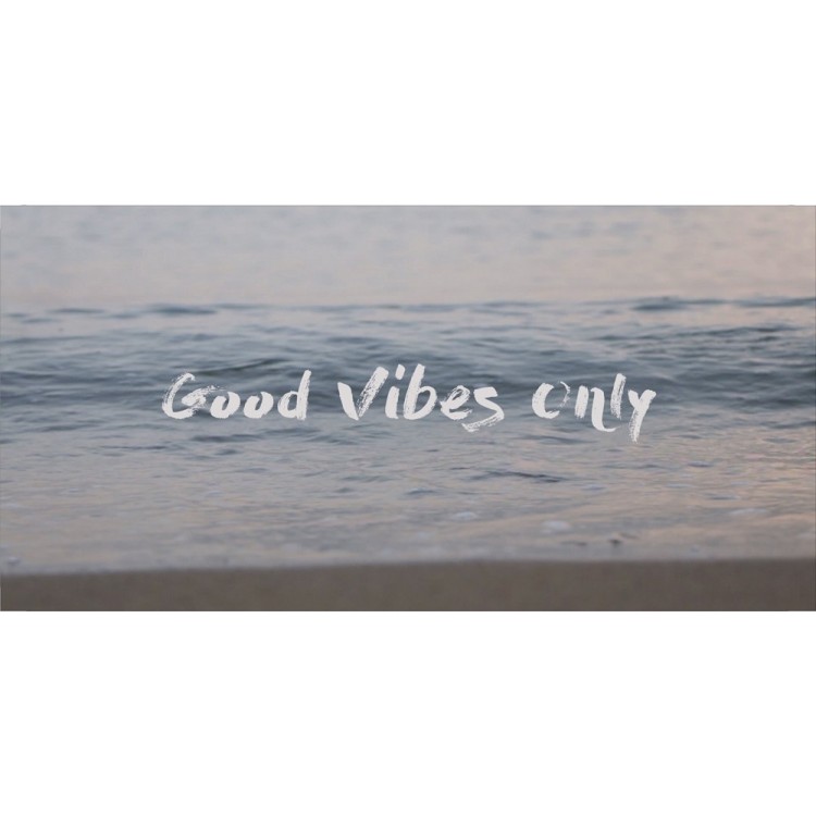 LPO3668 6 x 12 in. Good Vibes Only Beach Photo License Plate