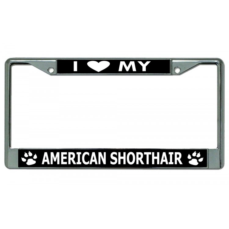 LPO3689 6 x 12 in. I Love My American Shorthair Cat Chrome License Plate Frame
