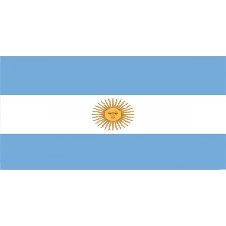 LPO1120 Argentina Flag Photo License Plate