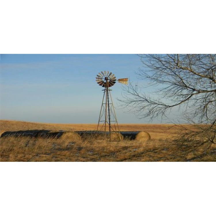 LPO1236 Windmill Photo License Plate