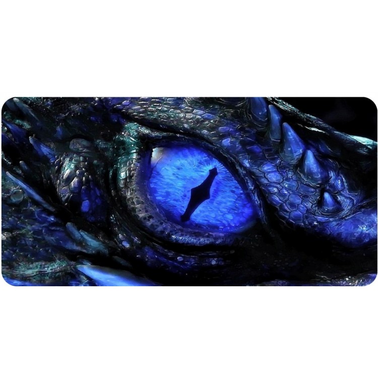 6 x 12 in. Blue Dragon Eye Photo License Plate