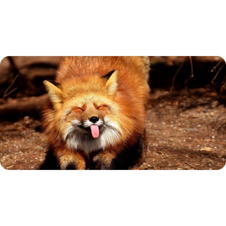 LPO6432 6 x 12 in. Red Fox Photo License Plate
