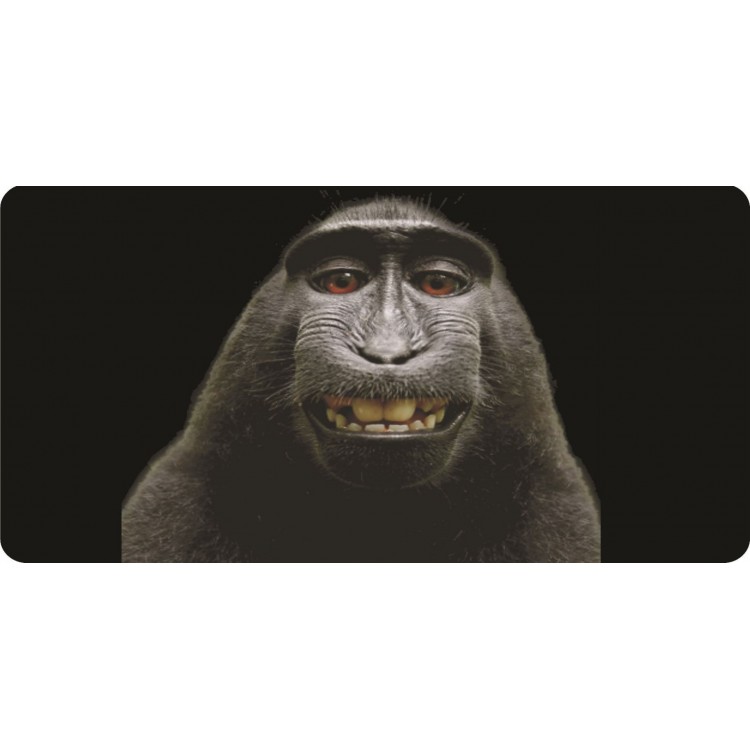 6 x 12 in. Baboon Selfie Photo License Plate