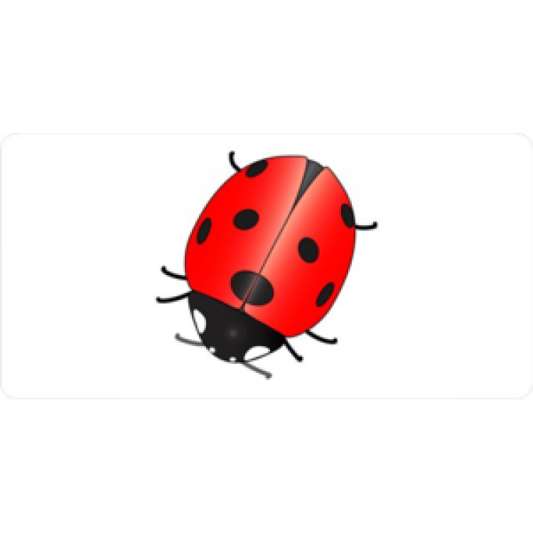 LPO482 Ladybug on White License Plate