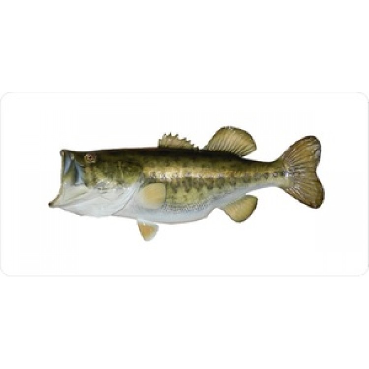LPO621 Large Mouth Bass Mounted on White License Plate