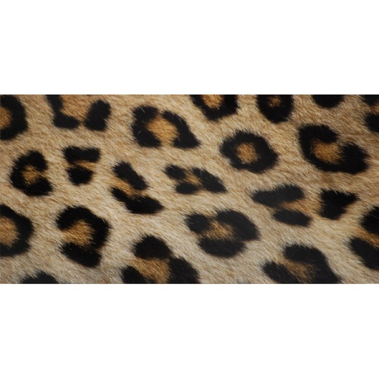 LPO1249 Leopard Print Photo License Plate