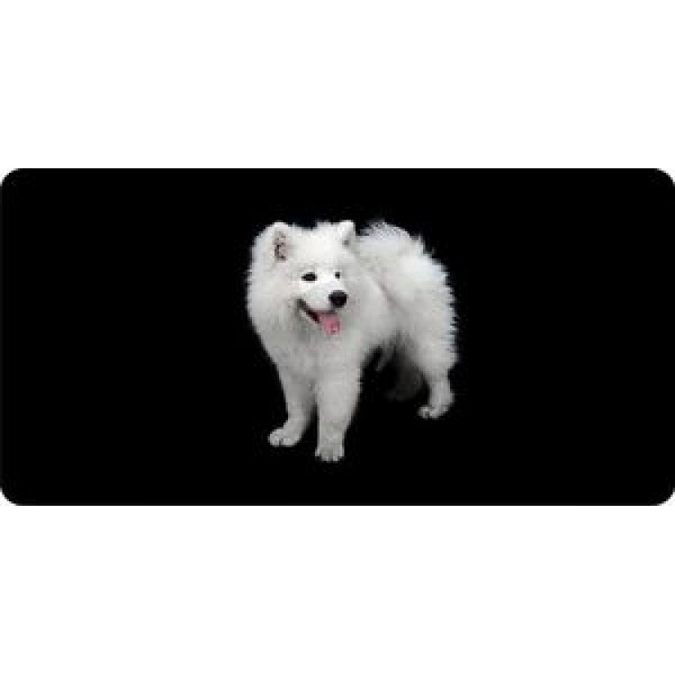 LPO459 Samoyed Dog on Black License Plate