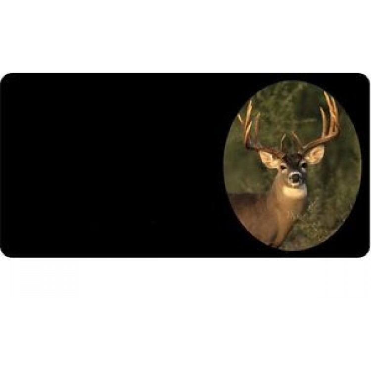 LPO736 Offset Buck Photo License Plate