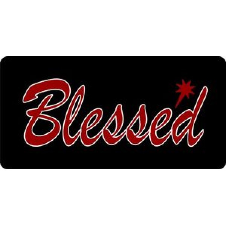 LPO428 Blessed with North Star License Plate