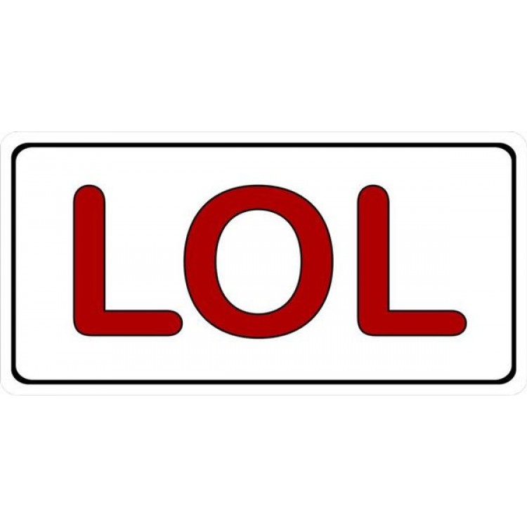 LPO1661 Lol Photo License Plate