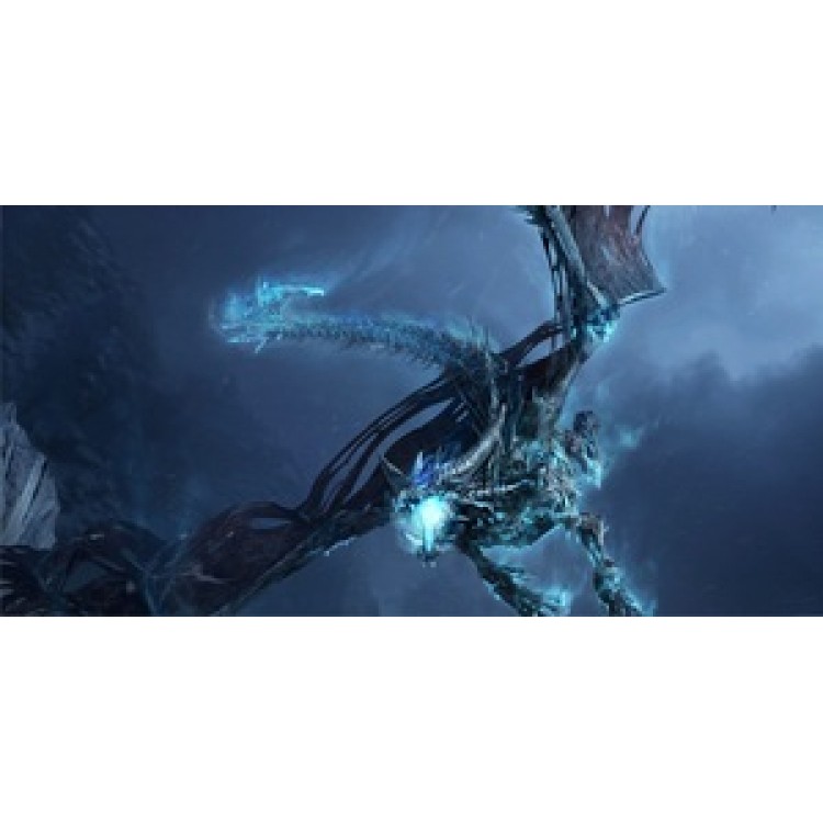 LPO584 Blue Fire Dragon Photo License Plate