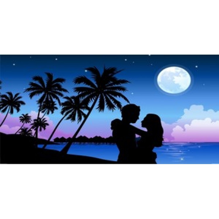 LPO531 Couple on Beach Photo License Plate