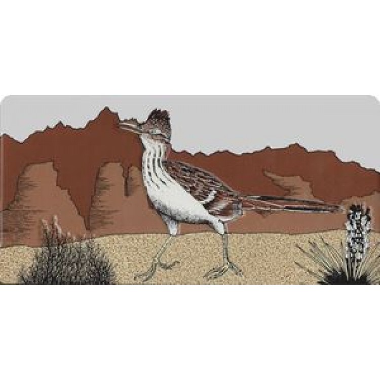 LPO679 Roadrunner Photo License Plate