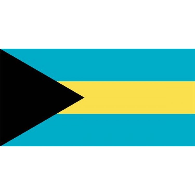 LPO928 Bahamas Flag Photo License Plate