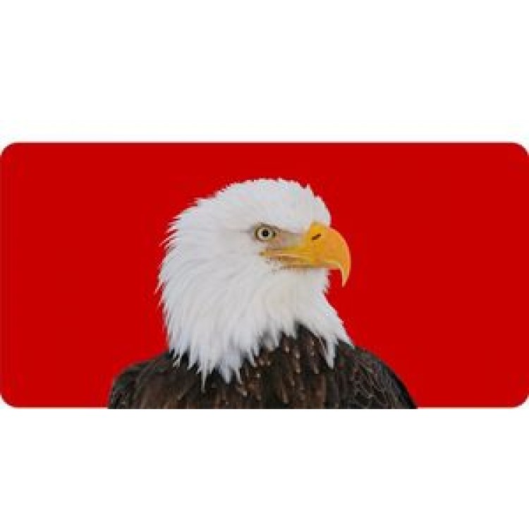 LPO159 6 x 12 in. Bald Eagle Centered on Red Photo License Plate