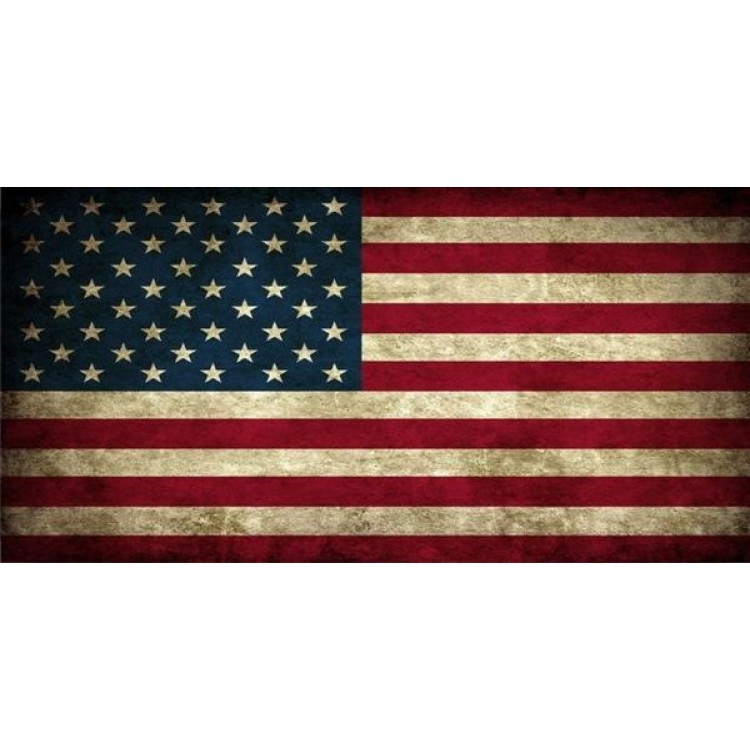 LPO1003 U.S. Flag Worn Photo License Plate