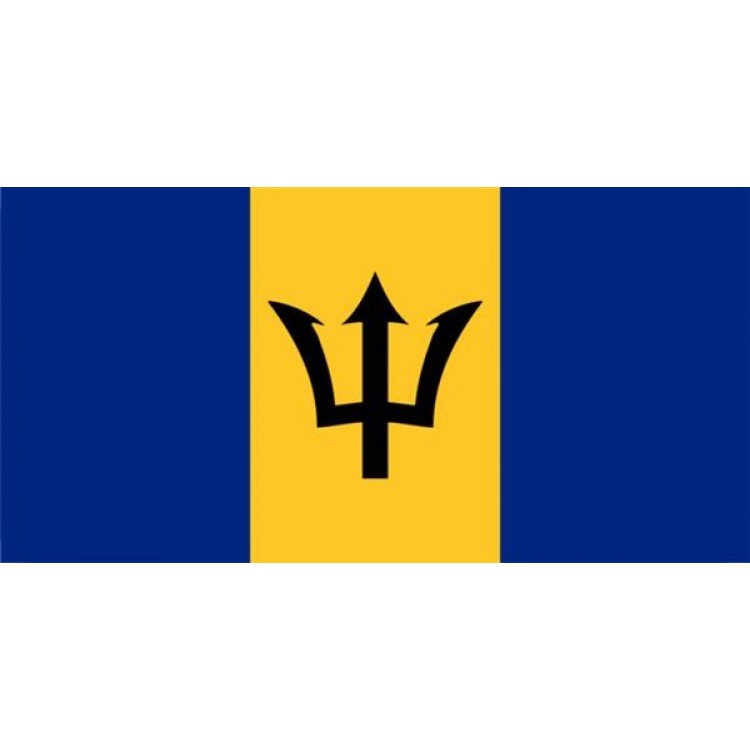 LPO929 Barbados Flag Photo License Plate