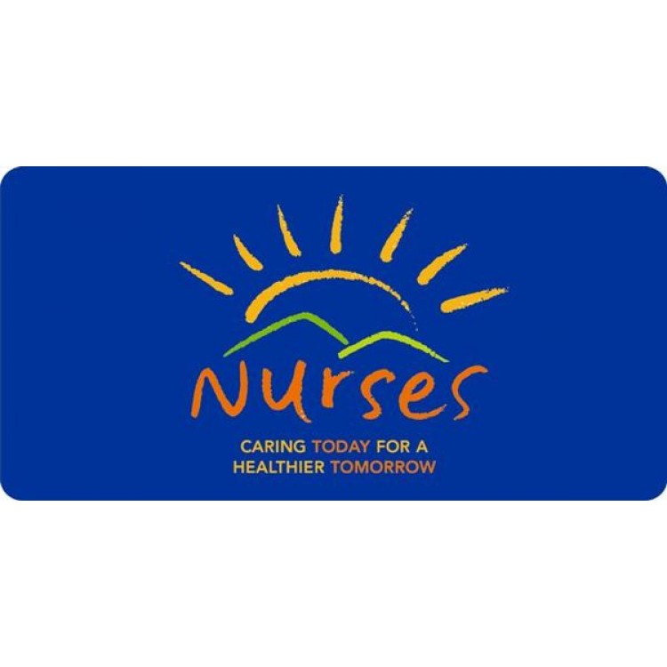 LPO970 Nurses Photo License Plate