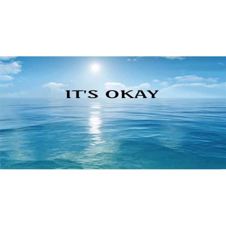 LPO1737 Its Okay Photo License Plate