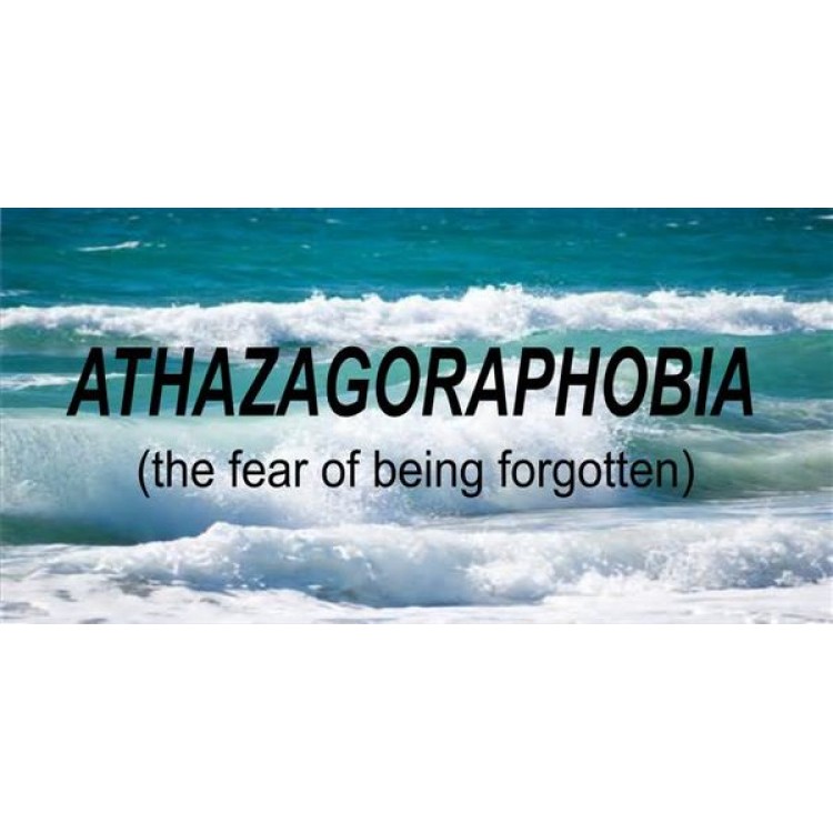 LPO1739 Athazagoraphobia Photo License Plate