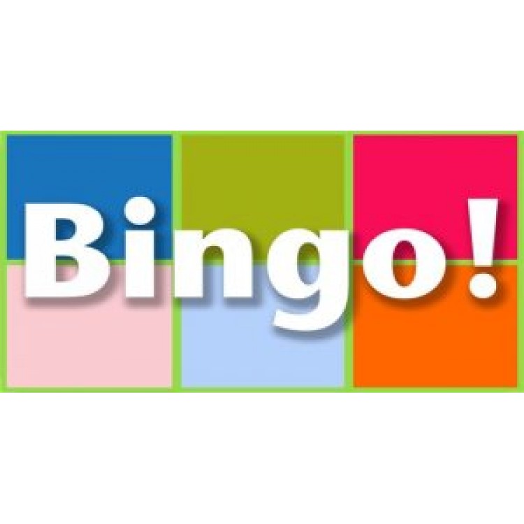 LPO1760 Bingo Photo License Plate