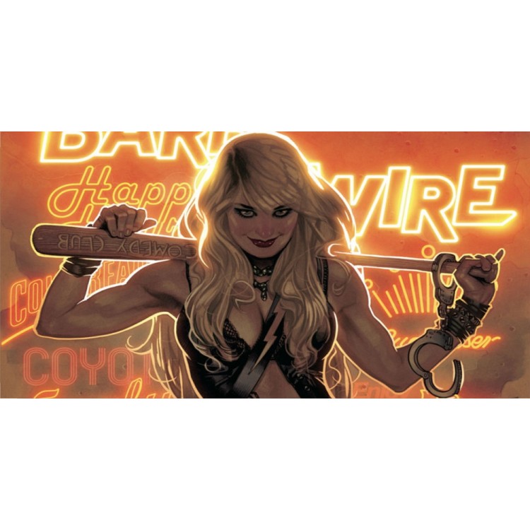 LPO2575 6 x 12 in. Barb Wire Photo License Plate