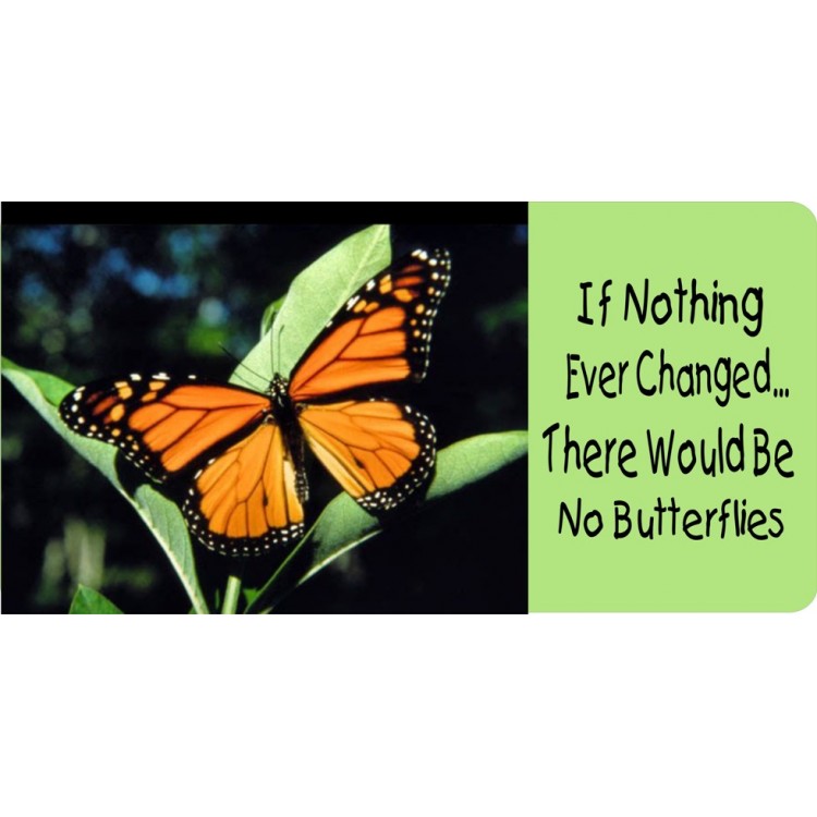 LPO2627 6 x 12 in. If Nothing Ever Changed Butterfly Photo License Plate