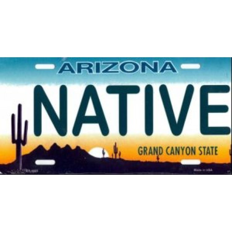 LP-1055 6 x 12 in. Arizona Native License Plate