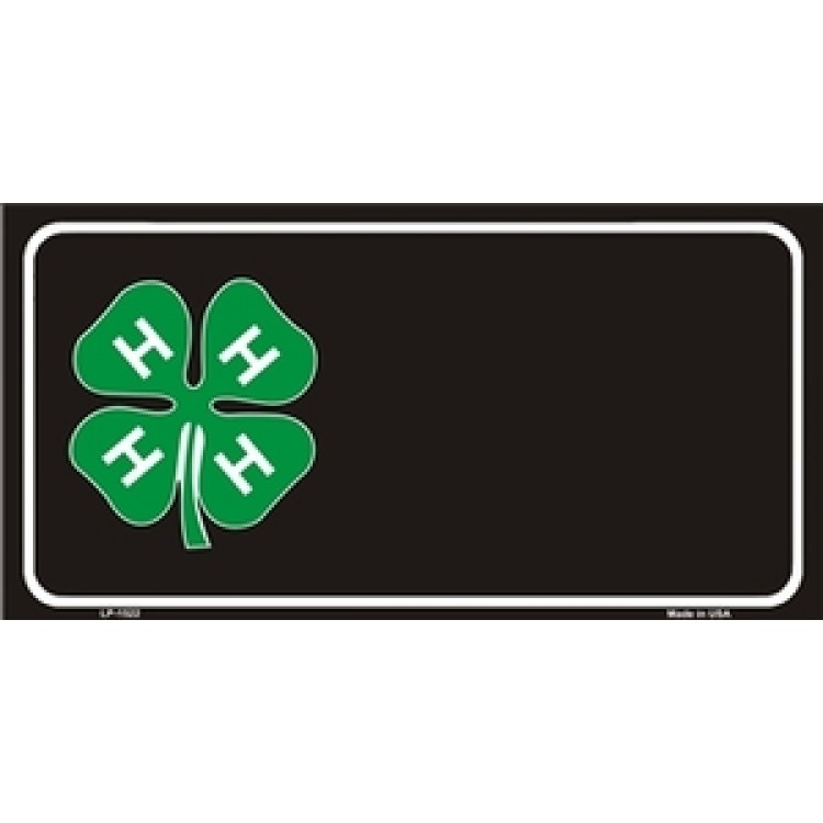 LP-1522 6 x 12 in. 4 H Offset License Plate