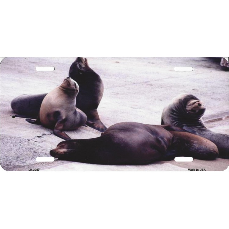LP-3039 6 x 12 in. Sea Lions License Plate