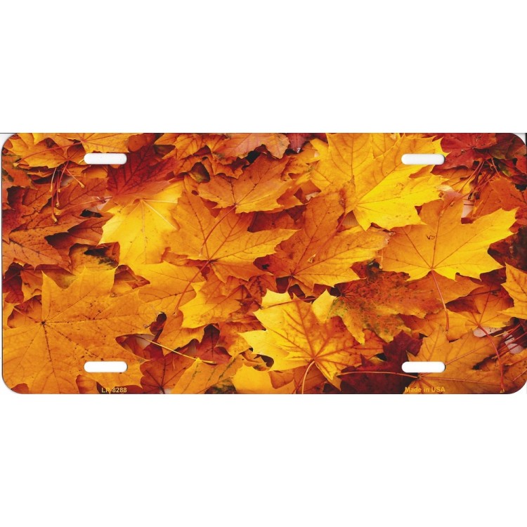 LP-8288 6 x 12 in. Fall Leaves Metal License Plate