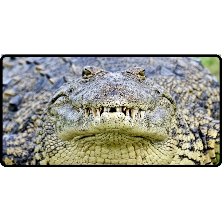 6 x 12 in. Crocodile Close Up Photo License Plate
